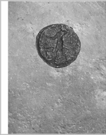 Heads and Tails, Tales and Bodies