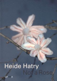 Heide Hatry: Not a Rose