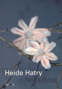 Heide Hatry: Not a Rose