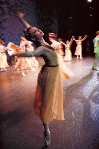 アート・デザイン・音楽 Ballet Henry Leutwyler STEIDL Ballet Henry Leutwyler STEIDL - メルカリ