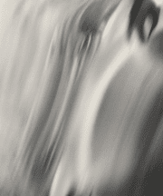 Henry O. Head: Twelve Acres