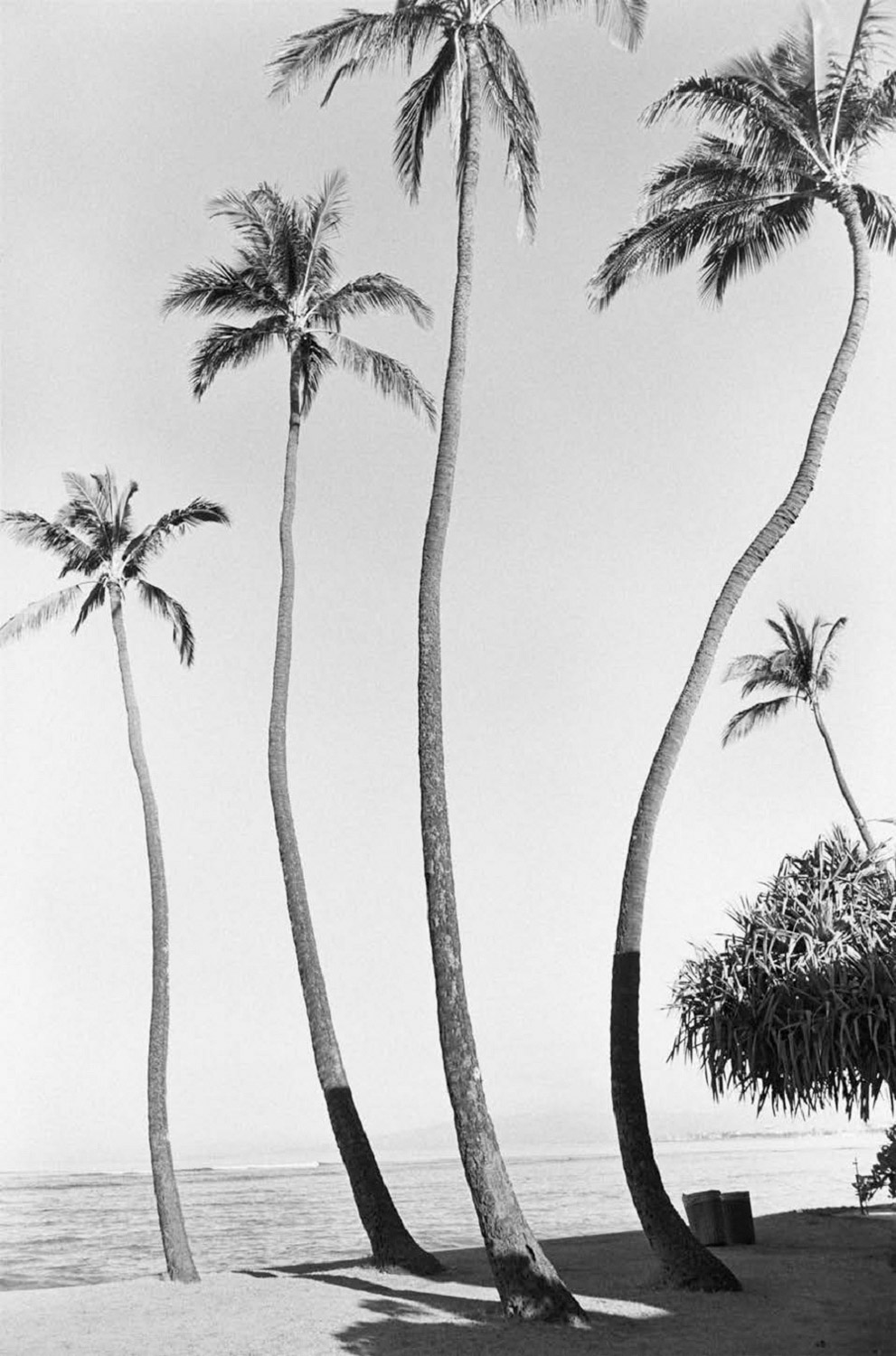 Henry Wessel Documentary Style and Beyond ARTBOOK | D.A.P.