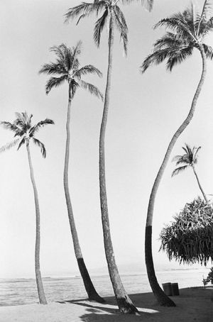 Henry Wessel: Documentary Style and Beyond