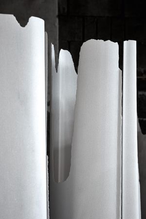Herbert Golser: Changing Shape