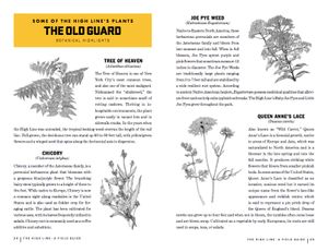 High Line: A Field Guide and Handbook