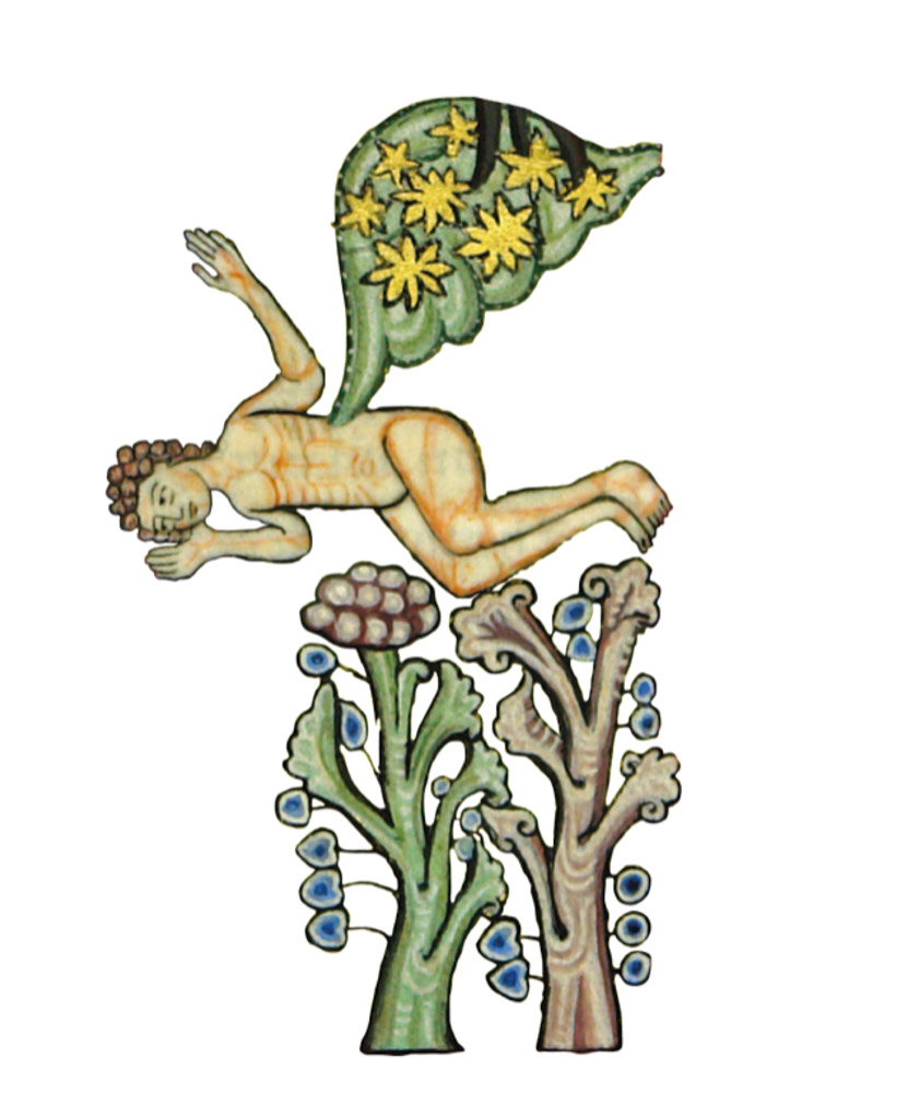 Hildegard von Bingen The Fountain of Wisdom ARTBOOK | D.A.P. 2026