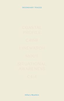 Hillary Mushkin: Incendiary Traces