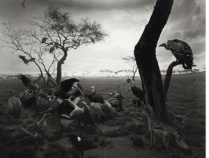 Hiroshi Sugimoto