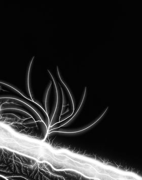 Hiroshi Sugimoto: The Long Never, Lightning Fields 289
