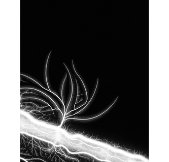 Hiroshi Sugimoto The Long Never, Lightning Fields 289