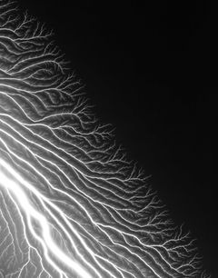 Hiroshi Sugimoto: The Long Never, Lightning Fields 304