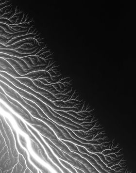 Hiroshi Sugimoto: The Long Never, Lightning Fields 304