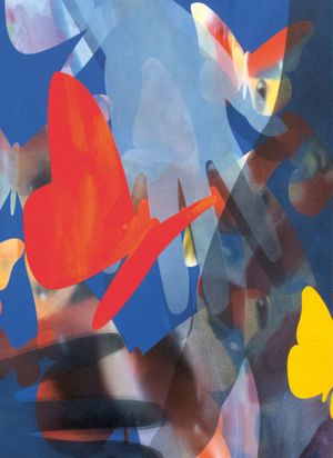 Hoda Kashiha: Slipping on Fragmented Shapes