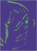 Hoda Kashiha: Slipping on Fragmented Shapes