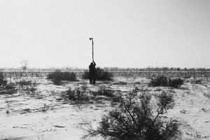 Homing In, Sharing Knowledge