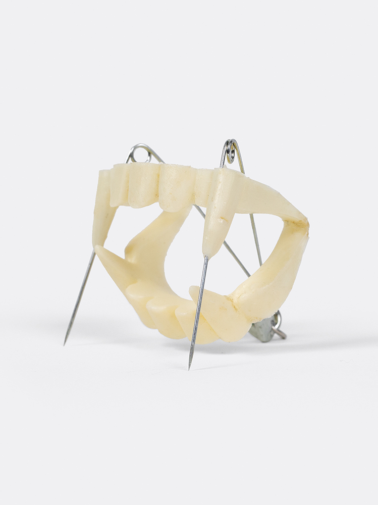 AC-4499�J, Punk Fangs #1 (plastic fangs, safety pins, jump ring), 