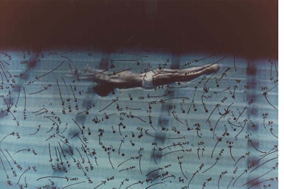 Howardena Pindell: intellectual and hedonistic, ironic and lyrical