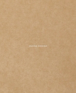 Huong Dodinh: Transcendence