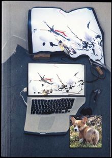 Ian Cheng: Live Simulations