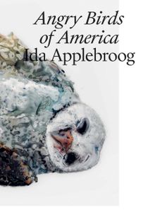 Ida Applebroog: Angry Birds of America
