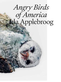 Ida Applebroog: Angry Birds of America