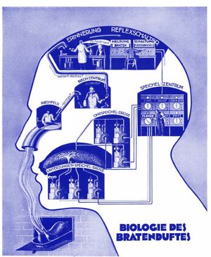Image Factories