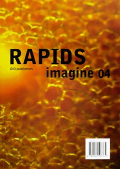 Imagine No. 04: Rapids