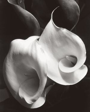 Imogen Cunningham