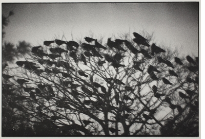 In memory of our friend and colleague, Xavier Barral