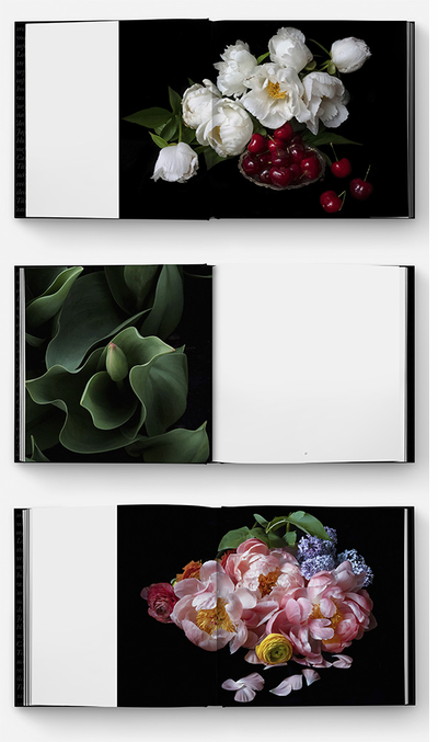 In this season of rejuvenation, a meditation on loss and revival