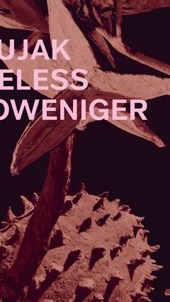 Ines Doujak: Nevertheless