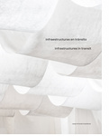 Infrastructures in Transit