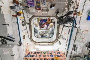 Interior Space: A Visual Exploration of the International Space Station