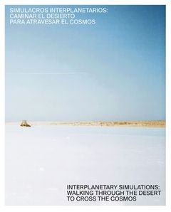 Interplanetary Simulations