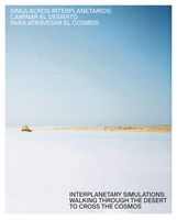 Interplanetary Simulations