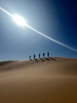 Interplanetary Simulations