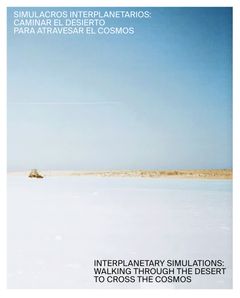 Interplanetary Simulations