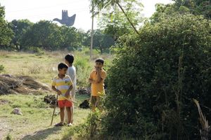 Iwan Baan: BrasiliaChandigarh