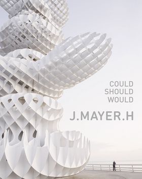J. Mayer H.: Could Should Would