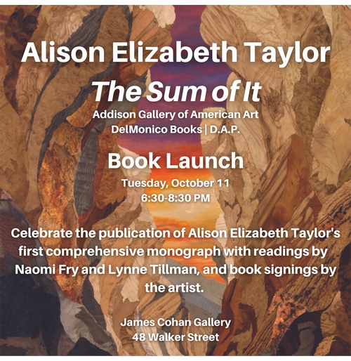 James Cohan gallery presents the launch of 'Alison Elizabeth Taylor: The Sum of It