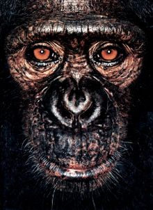 James Mollison: James & Other Apes