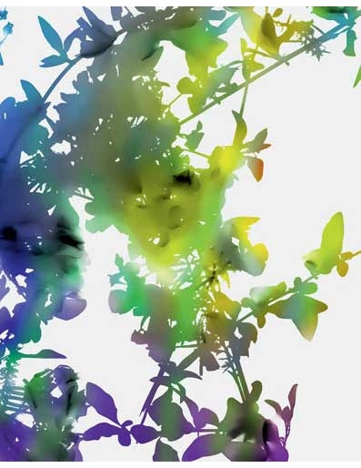 James Welling Book Signing at David Zwirner, New York