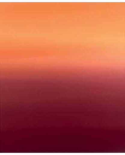 James Welling Book Signing at David Zwirner, New York