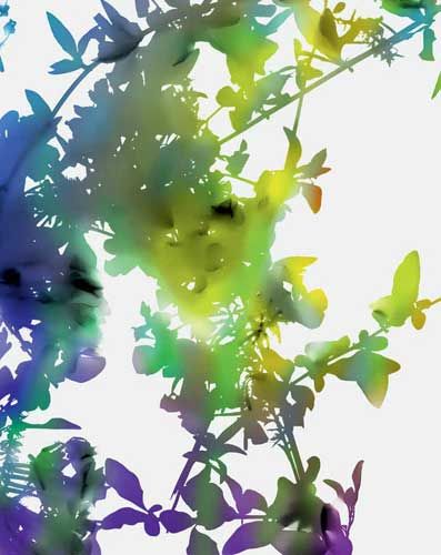 James Welling Book Signing at David Zwirner, New York