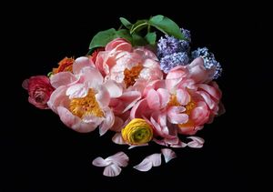 Jane Fulton Alt: Still Life