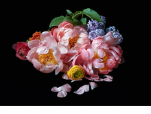 Jane Fulton Alt: Still Life