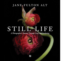 Jane Fulton Alt: Still Life