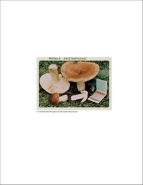 Jason Fulford: The Mushroom Collector