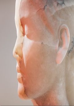 Jaume Plensa: Inner Matter