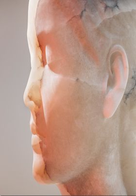 Jaume Plensa: Inner Matter